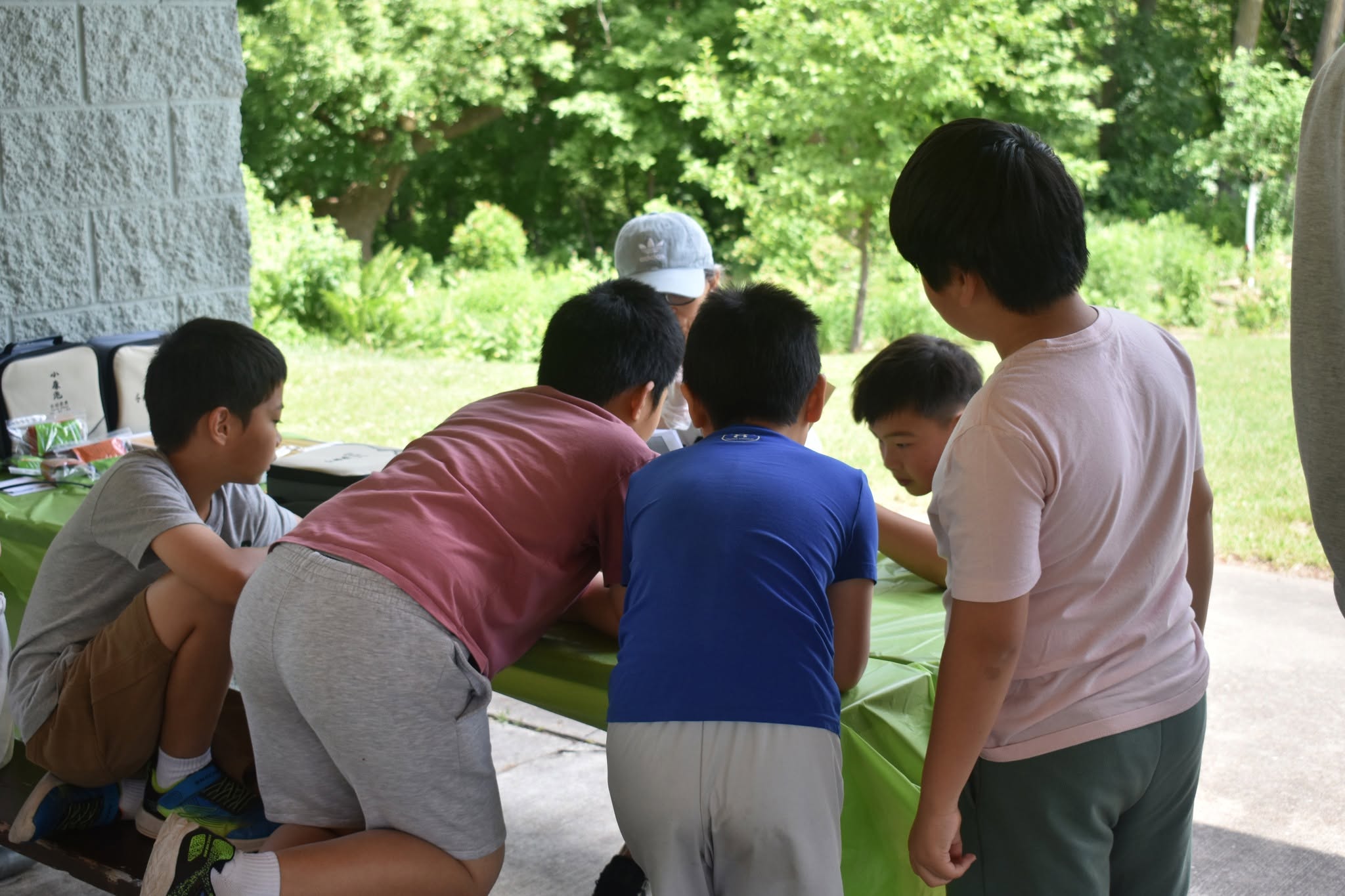 Dragon Boat Festival 2026 — photo 46